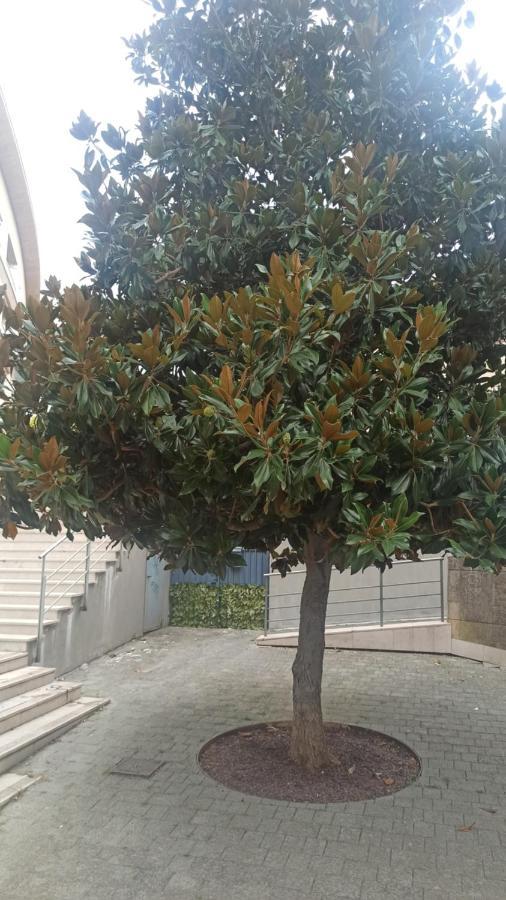 Rosselli93 Lägenhet Matera Exteriör bild